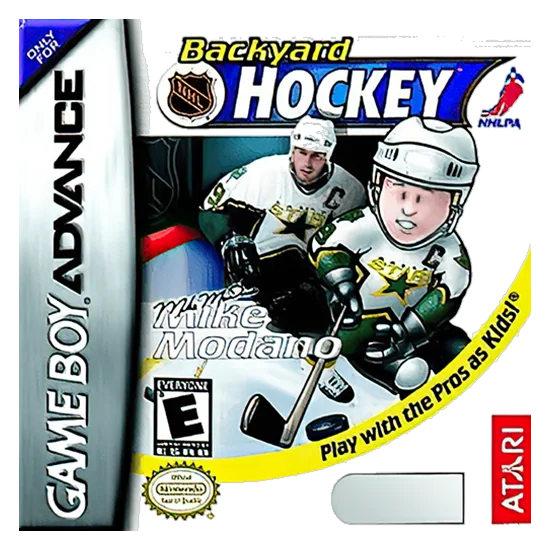 Backyard Hockey