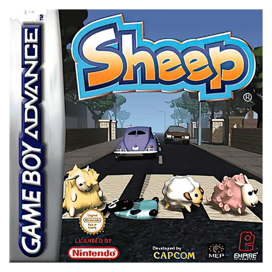 Sheep