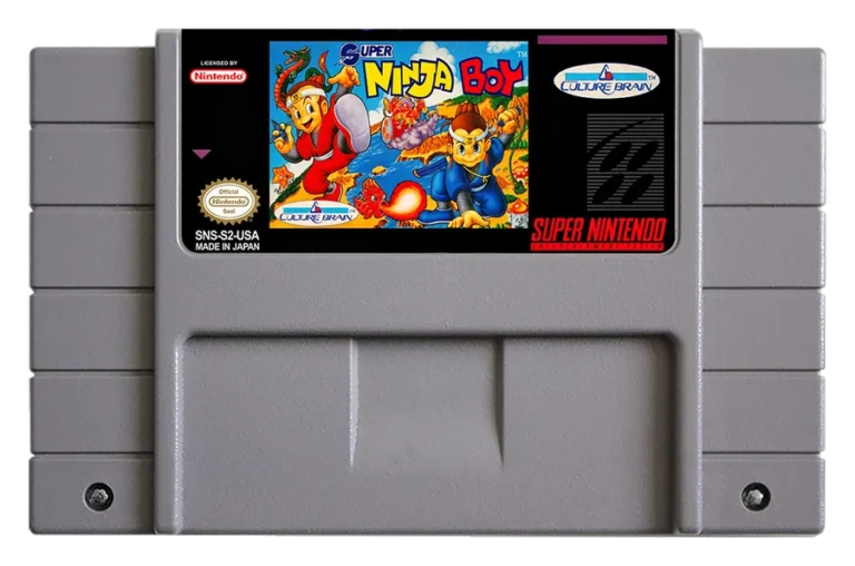Super Ninja Boy