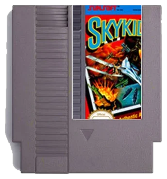 Sky Kid