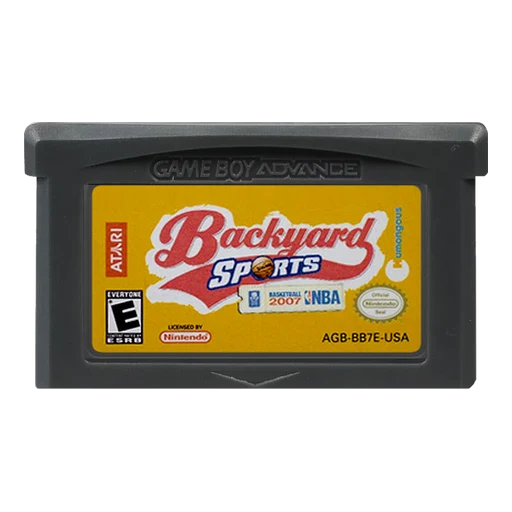 Backyard Sports: Basketball 2007