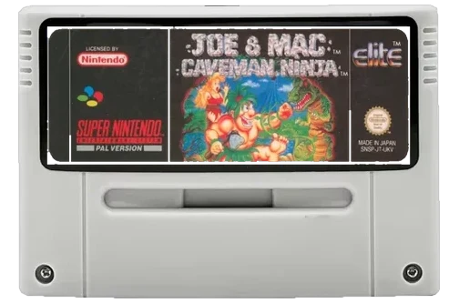 Joe & Mac: Caveman Ninja