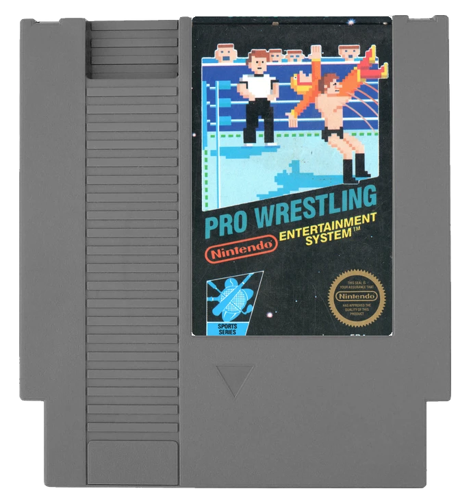 Pro Wrestling