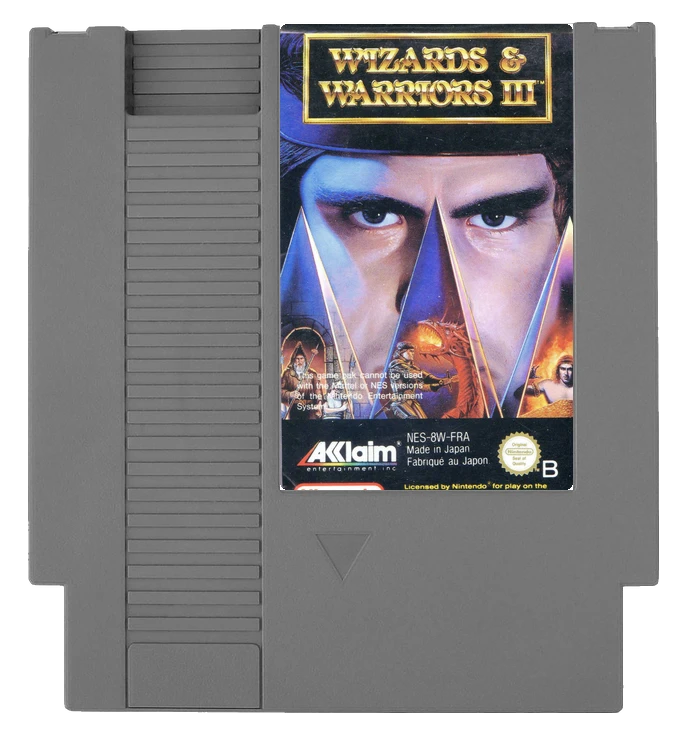 Wizards And Warriors3